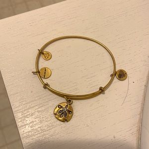 Sand dollar bracelet